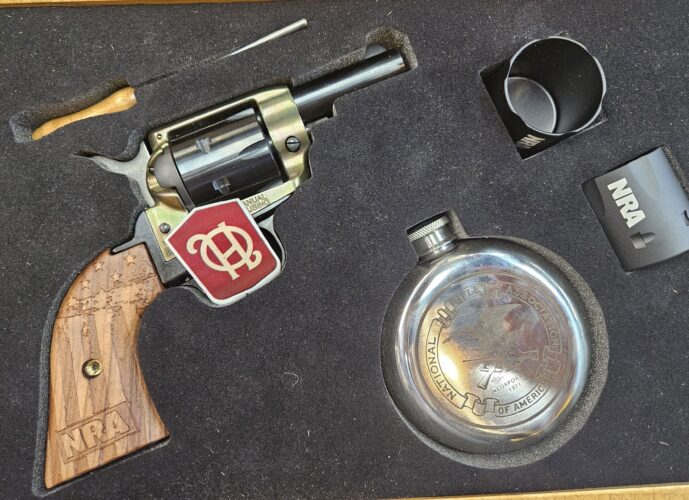 Heritage Barkeep .22LR 2