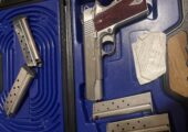 1911 Dan Wesson razorback